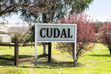 Property 47 Rodda Drive, Cudal NSW 2864 IMAGE 0