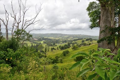 Property 366 Dunoon Road, Tullera NSW 2480 IMAGE 0