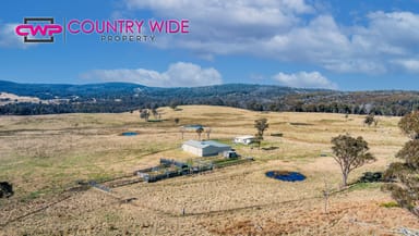 Property 1929 New England Highway, DUNDEE NSW 2370 IMAGE 0