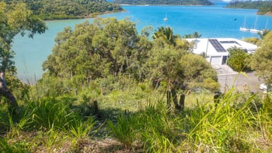 Property 16 Bay Terrace, SHUTE HARBOUR QLD 4802 IMAGE 0