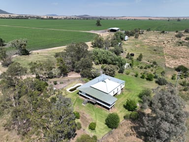 Property 2953 Berrigal Creek Road, BELLATA NSW 2397 IMAGE 0