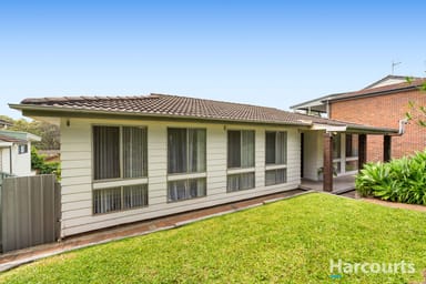 Property 23 Illawarra Avenue, Cardiff NSW 2285 IMAGE 0