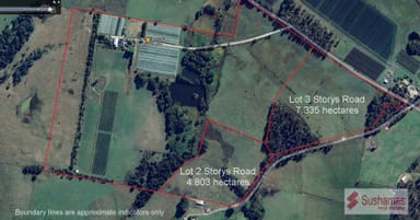 Property Lot 3 Storys Road, Lebrina TAS 7254 IMAGE 0