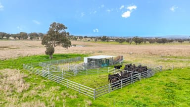 Property 13669 New England Highway, TAMWORTH NSW 2340 IMAGE 0