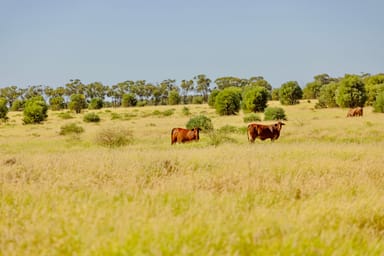 Property 6735 Adavale Road, Blackall QLD 4472 IMAGE 0