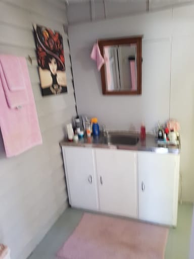Property 29 Albert Street, TAMBO QLD 4478 IMAGE 0