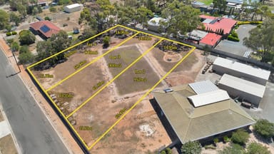 Property Lot 2, 3 & 4, Heinrich Road, FREELING SA 5372 IMAGE 0