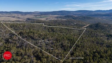 Property 211 Foggy Forest Drive, Captains Flat NSW 2623 IMAGE 0