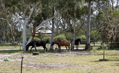 Property 42 Holmes Road, Oakford WA 6121 IMAGE 0