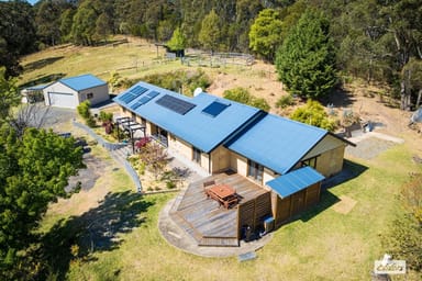 Property 147 Radium Ridge Road, Candelo NSW 2550 IMAGE 0