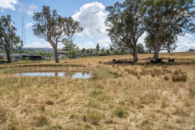 Property 7 TALLANGATTA LOOKOUT ROAD, TALLANGATTA VIC 3700 IMAGE 0