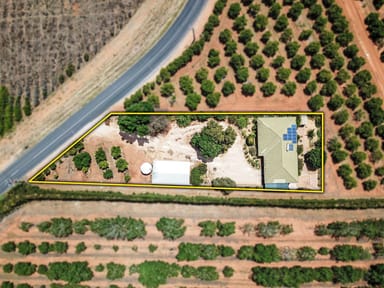 Property 357 Virgo Road, Waikerie SA 5330 IMAGE 0