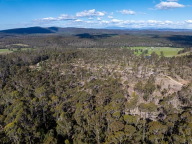 Property 3 & 4 Delantys Road, Birralee TAS 7303 IMAGE 0