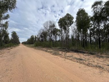Property Lot 5 Pine Ridge Road, Condamine Farms QLD 4357 IMAGE 0
