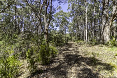 Property Lot 1 Jager Road, SOUTHPORT TAS 7109 IMAGE 0