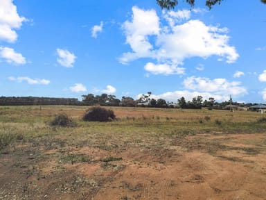 Property 30 Mattner Road, Waikerie SA 5330 IMAGE 0