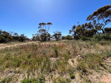 Property Lot 26 Collins Street, TURRIFF VIC 3488 IMAGE 0