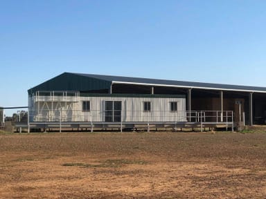 Property 449 Willawang Road, Warroo NSW 2871 IMAGE 0