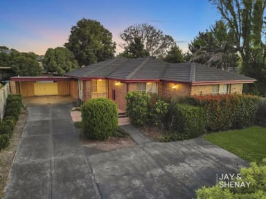 Property 46 Shetland Street, Endeavour Hills VIC 3802 IMAGE 0