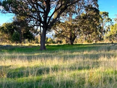 Property EUKEY QLD 4380 IMAGE 0