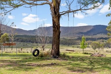 Property 103 Blue Bush Road, Wyanbene NSW 2622 IMAGE 0