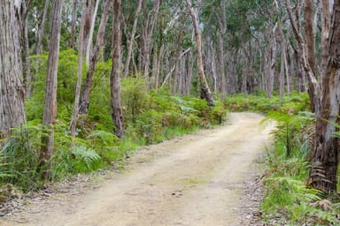 Property 1800 Condah-Ettrick Road, Homerton VIC 3304 IMAGE 0