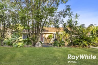 Property 222 Wildey Street, FLINDERS VIEW QLD 4305 IMAGE 0