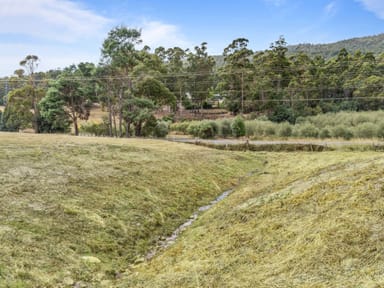 Property 1103 Nook Road, Acacia Hills TAS 7306 IMAGE 0