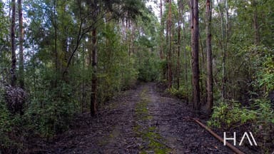 Property 262A Austins Road, Turners Marsh TAS 7267 IMAGE 0