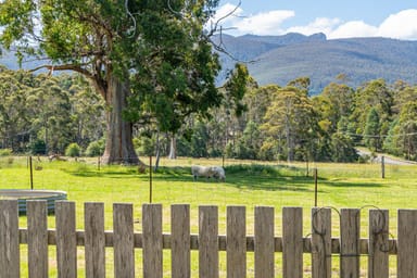 Property 767 Sandfly Road, Sandfly TAS 7150 IMAGE 0