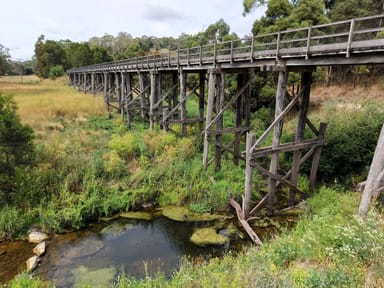 Property 135 Loves Road, Curdies River VIC 3268 IMAGE 0