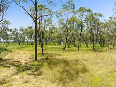 Property "Keheler Park" Lot89 Springate Lane, Pratten QLD 4370 IMAGE 0