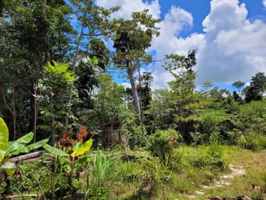 Property Lot 213 Kelly Road, Ellinjaa QLD 4886 IMAGE 0