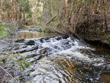 Property 81 Silver Creek Road, FLOWERDALE VIC 3717 IMAGE 0