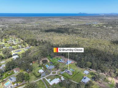 Property 12 Brumby Close, HALLIDAYS POINT NSW 2430 IMAGE 0