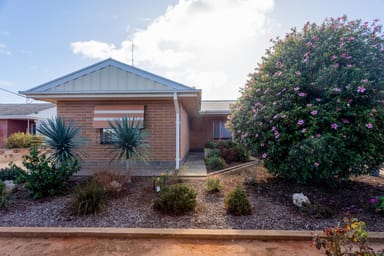 Property 49 Tonkin Avenue, Barmera SA 5345 IMAGE 0