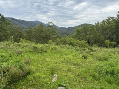 Property 3460 Nowendoc Road, CAFFREYS FLAT NSW 2424 IMAGE 0