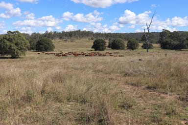 Property 789 Coppin Road, Mungungo QLD 4630 IMAGE 0