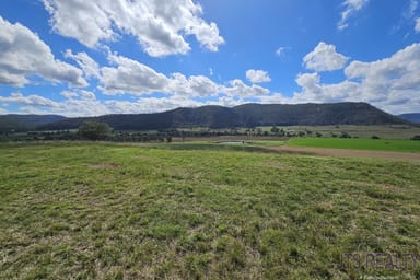 Property LOT 102 Yarraman Road, Wybong NSW 2333 IMAGE 0