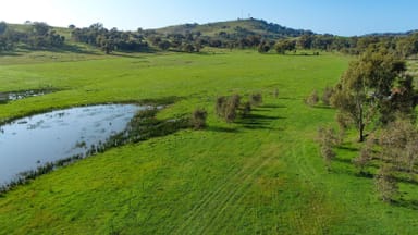 Property 175 Balmattum Road, Violet Town VIC 3669 IMAGE 0