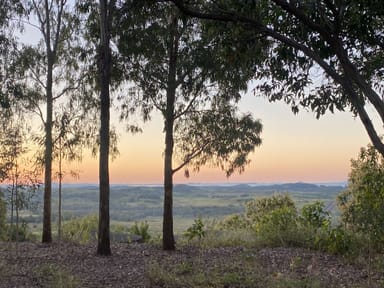 Property Lot 11 Wright Road, GRASSTREE BEACH QLD 4740 IMAGE 0