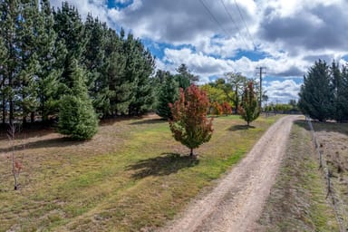 Property 118 Woodhouselee Road, Wayo NSW 2580 IMAGE 0
