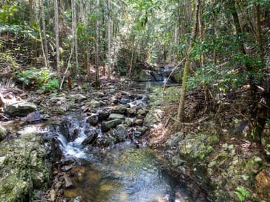 Property 543 Upper Pinbarren Creek Road, Pinbarren QLD 4568 IMAGE 0