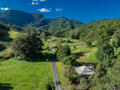 Property 114 Booka Road, Upper Crystal Creek NSW 2484 IMAGE 0