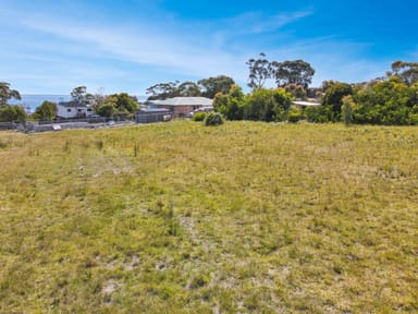 Property 24 Coffey Drive, BINALONG BAY TAS 7216 IMAGE 0