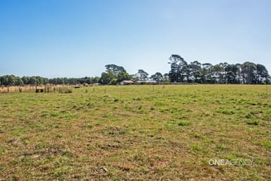 Property 357 Youngs Road, Lileah TAS 7330 IMAGE 0