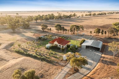 Property 384 Charlton-Borung Road, Borung VIC 3518 IMAGE 0