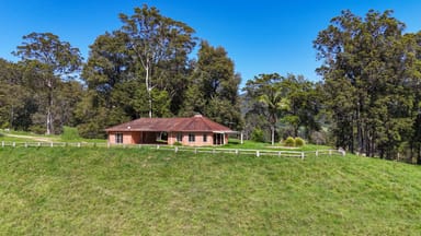 Property 329 South Island Loop Road, Upper Orara NSW 2450 IMAGE 0