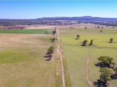 Property 2824 Neilrex Road, Neilrex NSW 2831 IMAGE 0