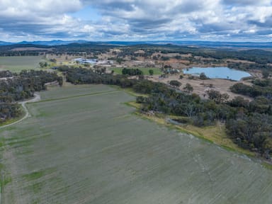 Property 846 Nundubbermere Road, Nundubbermere QLD 4380 IMAGE 0